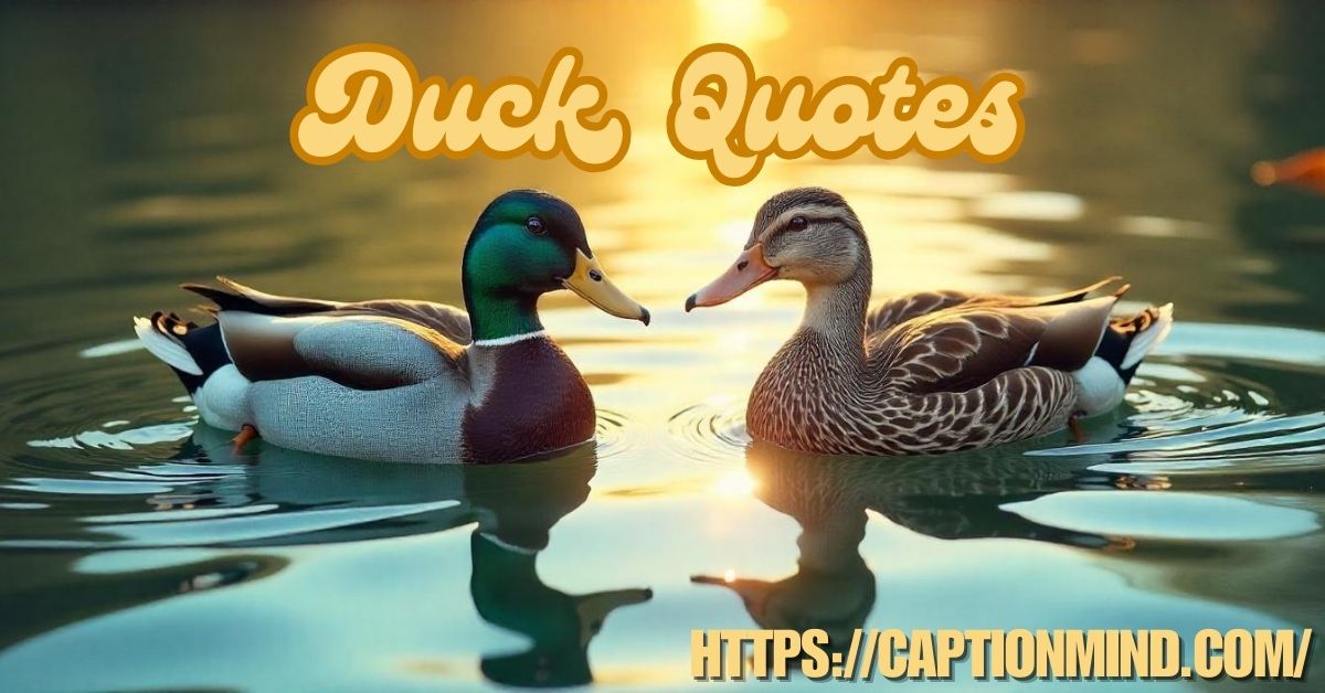 Duck, Quotes: Hilarious and Thoughtful Sayings About Ducks 